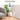 ieGeek SC1 PTZ indoor camera provides 360° rotation for total room monitoring.