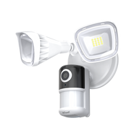 ieGeek Floodlight Camera ZY-E1