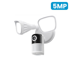 ieGeek Floodlight Camera ZY-E2
