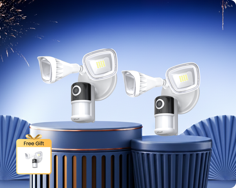 ieGeek Floodlight Camera ZY-E1