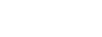 ieGeek
